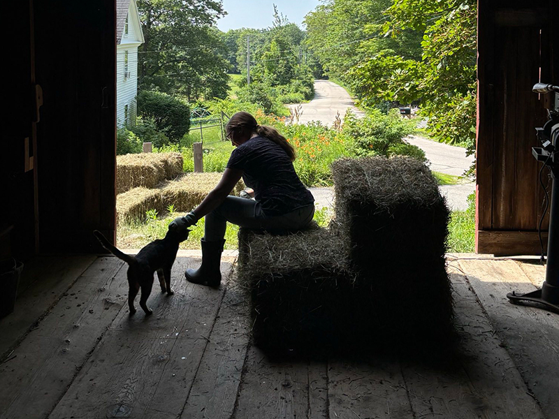 Sarah sitting on a haybale in the barn doorway, leaning down to pet a cat, there are haybales in a trailer outside the doorway, a green lawn, flower gardens, and a road stretching down the hill 